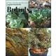 ビザールプランツ―冬型珍奇植物最新情報 [単行本]