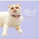 ホイちゃん―hoippu cream PHOTOBOOK [単行本]