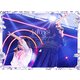乃木坂46／乃木坂46 7th YEAR BIRTHDAY LIVE 2019.2.21-24 KYOCERA DOME OSAKA [DVD]