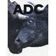 日本のアートディレクション〈2019〉 [全集叢書]