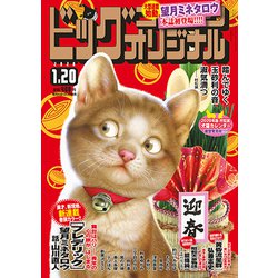 ビッグコミックオリジナル 2020年 1/20号 [雑誌]