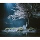 Aimer／春はゆく/marie