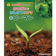 そだてるやさい おおきな写真でよくわかる!さいばいとかんさつのコツ〈6〉ピーマン [全集叢書]