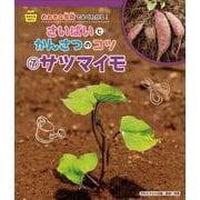 そだてるやさい おおきな写真でよくわかる!さいばいとかんさつのコツ〈7〉サツマイモ [全集叢書]