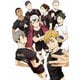 ハイキュー!! TO THE TOP Vol.4 [DVD]