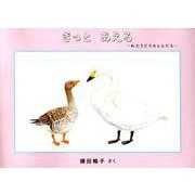 きっと あえる－わたりどりのともだち(日本傑作絵本) [絵本]