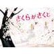 さくらがさくと(福音館の科学) [絵本]