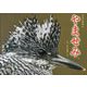 今日も河畔にやませみの笑い声が響いて [単行本]