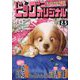 ビッグコミックオリジナル 2020年 2/5号 [雑誌]