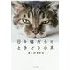 日々猫だらけ ときどき小鳥（一般書<277>） [単行本]