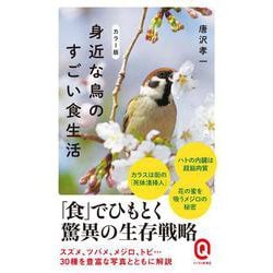 カラー版 身近な鳥のすごい食生活(イースト新書Q) [新書]