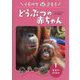 くらべてよもう どうぶつの赤ちゃん〈1〉もりのどうぶつ―アジアゾウ コアラ オランウータンなど [全集叢書]