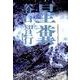 星糞 [単行本]