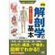 解剖学の基本 新版 [ムックその他]