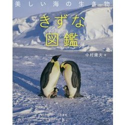 美しい海の生き物 きずな図鑑 [単行本]