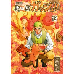 ヨドバシ Com 金色のガッシュ 完全版 13 コミック 通販 全品無料配達