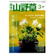 趣味の山野草 2020年 03月号 [雑誌]