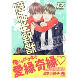 Amazon.com: ほんと野獣(14) (GUSH COMICS): 9784796414265