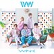 IVVY／WINK