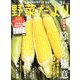 野菜だより 2020年 03月号 [雑誌]