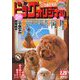 ビッグコミックオリジナル 2020年 2/20号 [雑誌]