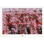 京の彩り 桜 [単行本]