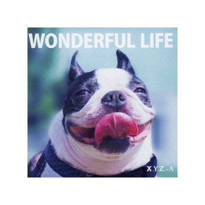 X.Y.Z.→A／WONDERFUL LIFE
