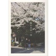 桜の木が一本 [単行本]