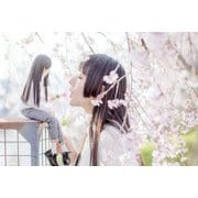 ロードムービー [単行本]
