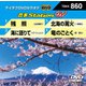 音多Station W [DVD]