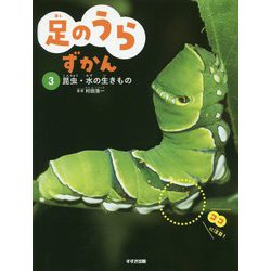 足のうらずかん〈3〉昆虫・水の生きもの [単行本]