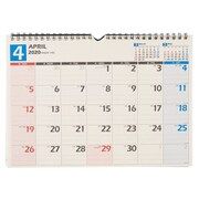 U136 NOLTYカレンダー壁掛け36 [2020年4月始まり]