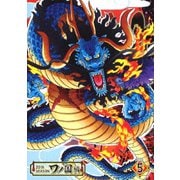 ONE PIECE ワンピース 20THシーズン ワノ国編 PIECE.5
