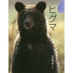 ヒグマ(北国からの動物記〈10〉) [絵本]