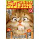 ビッグコミックオリジナル 2020年 3/5号 [雑誌]