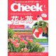 Cheek (チーク) 2020年 04月号 [雑誌]