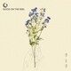 GOOD ON THE REEL／手と手
