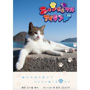 ニャンだ?フルアイランド