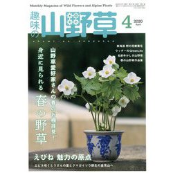 趣味の山野草 2020年 04月号 [雑誌]