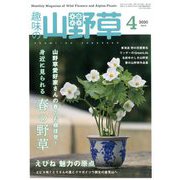 趣味の山野草 2020年 04月号 [雑誌]