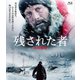 残された者 -北の極地- [Blu-ray Disc]
