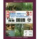 新版 全授業の板書例と展開がわかるDVDからすぐ使えるまるごと授業 国語 3年（上） [単行本]