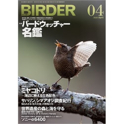 BIRDER (バーダー) 2020年 04月号 [雑誌]