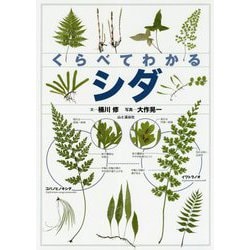 くらべてわかるシダ [単行本]
