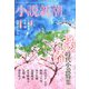 小説新潮 2020年 04月号 [雑誌]