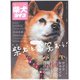 柴犬ライフ 2020年 05月号 [雑誌]