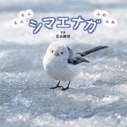 もふもふふわふわシマエナガ [単行本]