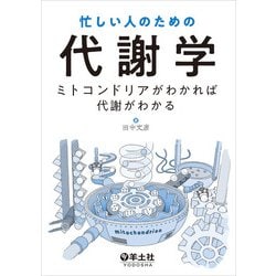 忙しい人のための代謝学 [単行本]