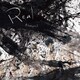 flumpool／Real