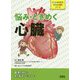 悩み・ときめく 心臓（からだのキセキ・のびのび探究シリーズ） [単行本]